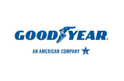 Goodyear Reliant All - Season 215/55R16 93V All - Season Tire