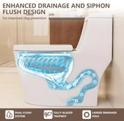 Deer Valley One Piece Toilet, Dual Flush, ADA Height, White