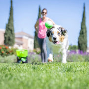 Hyper Pet GoDogGo Automatic Dog Ball Launcher with 5 Balls