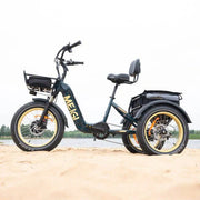 SILVERADO 20 48V/14AH 750W Foldable Fat Tire Electric Trike, 330LBS (96817362)