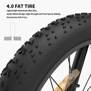 26 In.48V 13Ah 750W Mountain Electric Bikes for Adults Men, 26"x4.0 Fat Tire Electric Bicycle 7 speeds Gear Outdoor Ebikes, Black,S48