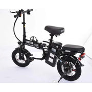Folding Electric Bike, 250W Electric Bike Suitable for Adults and Teenagers Removable Battery Fat Tire Electric Bike Beach Snow Bicycle