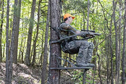 Summit Viper SD Climbing Treestand &ndash; Lightweight Aluminum, Foam Padded Seat, 300 lbs Capacity, Includes Safety Harness