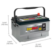 Everstart Platinum AGM Automotive Battery, Group Size 65 12 Volt, 750 CCA