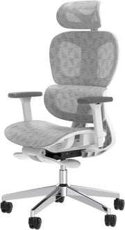 Ergo3D Ergonomic Office Chair – High Back Mesh Desk Chair with 3D Adjustable Armrests, Wheels, for Home and Office (Black)
